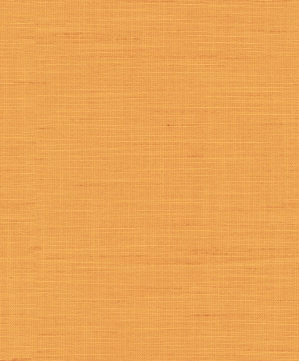 Orange Orange